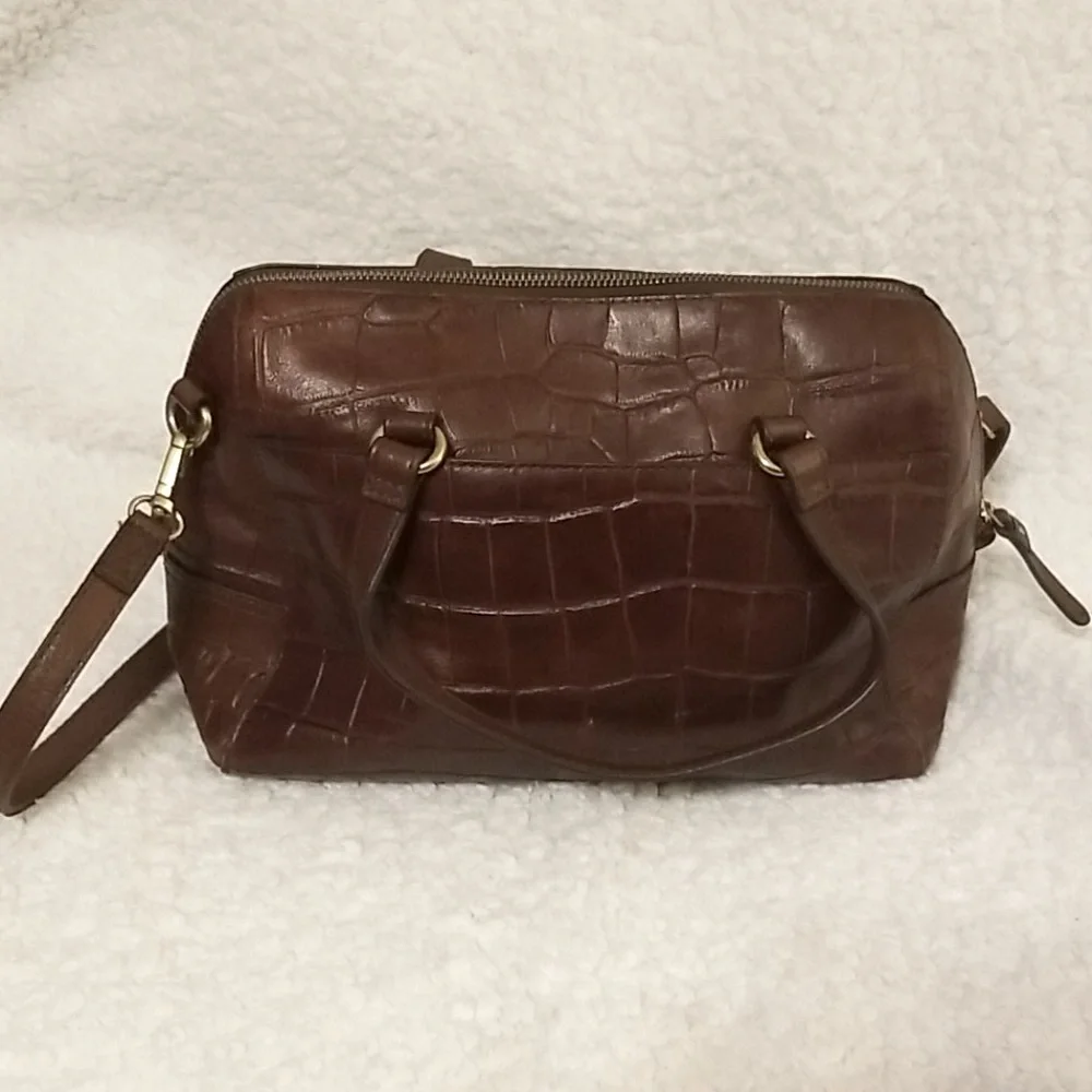 Fossil reddish brown